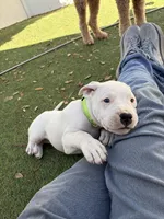 processed/dd9a42d7-e6dc-4658-a227-cc361c4999f8/listing/e6213552-94c9-4500-acb3-d3963a8e371a/841dc6a6-1d91-497f-afbd-ad6f7f52f777