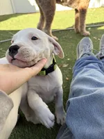 processed/dd9a42d7-e6dc-4658-a227-cc361c4999f8/listing/e6213552-94c9-4500-acb3-d3963a8e371a/b984b3d2-c120-436f-be87-bc0b1bca8a60