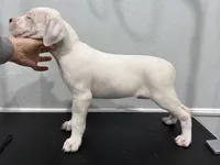 processed/dd9a42d7-e6dc-4658-a227-cc361c4999f8/listing/e6213552-94c9-4500-acb3-d3963a8e371a/dc4bdd75-3a72-481e-ad19-8f7737af2e79