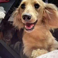 processed/dd9b10c1-6160-49c0-a426-5e4408593f1c/facility/0fd6ffd5-f3c8-40f8-9e6d-ddf993ffa921