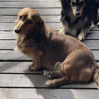 processed/dd9b10c1-6160-49c0-a426-5e4408593f1c/facility/3df3c5c4-6065-4c61-ab61-e227d48f1c60