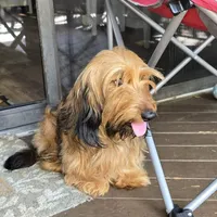 processed/dd9b10c1-6160-49c0-a426-5e4408593f1c/facility/81468c0f-d98c-45e0-9250-2cd1c01e81e1