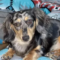 processed/dd9b10c1-6160-49c0-a426-5e4408593f1c/facility/a06fd933-16ef-4cdd-bebd-a348aa6e08d5