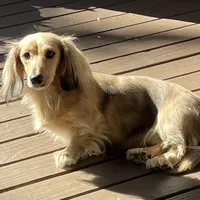 processed/dd9b10c1-6160-49c0-a426-5e4408593f1c/facility/bf722cbe-98b6-4a28-a188-566e2a6152c1