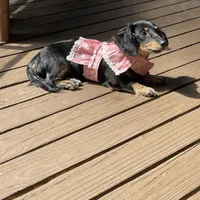 processed/dd9b10c1-6160-49c0-a426-5e4408593f1c/facility/cea59212-1d18-42e5-acfa-1dd4a44b057b