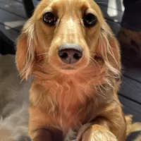 processed/dd9b10c1-6160-49c0-a426-5e4408593f1c/facility/dacfd6e8-008c-40b2-90c4-da4f58d52379