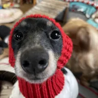 processed/dd9b10c1-6160-49c0-a426-5e4408593f1c/facility/e5d4bbcd-db6f-4dda-b485-30618820f90d