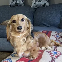 processed/dd9b10c1-6160-49c0-a426-5e4408593f1c/facility/e88140d5-f22c-4813-9522-ec4ec2630cf8