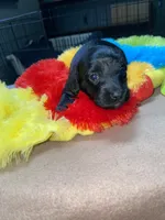 processed/dd9b10c1-6160-49c0-a426-5e4408593f1c/listing/3e695c8e-8754-4dd8-8c8d-560528853a48/186ac668-f40a-4ae7-aec8-0584472cfdb3