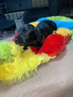 processed/dd9b10c1-6160-49c0-a426-5e4408593f1c/listing/3e695c8e-8754-4dd8-8c8d-560528853a48/6c6f1fdf-4c6d-4479-a282-3359d10560bb