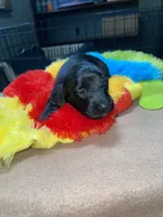 processed/dd9b10c1-6160-49c0-a426-5e4408593f1c/listing/3e695c8e-8754-4dd8-8c8d-560528853a48/9a8684e4-65ce-4573-a418-2e7546cdf4df