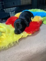 processed/dd9b10c1-6160-49c0-a426-5e4408593f1c/listing/3e695c8e-8754-4dd8-8c8d-560528853a48/e3ca0051-b2bb-494a-9608-9ddfb67acd37