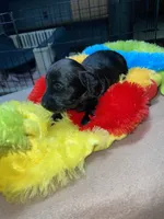 processed/dd9b10c1-6160-49c0-a426-5e4408593f1c/listing/3e695c8e-8754-4dd8-8c8d-560528853a48/f0409e4e-dd3a-492e-b3ba-e3185f458dae