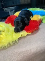 processed/dd9b10c1-6160-49c0-a426-5e4408593f1c/listing/3e695c8e-8754-4dd8-8c8d-560528853a48/fdfe22bd-1052-4154-9d52-ec0bdf360634