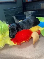 processed/dd9b10c1-6160-49c0-a426-5e4408593f1c/listing/63aa8a7e-aa39-4717-b36a-34bbbdd04903/370f763e-7132-47e1-8e4e-675f54153064