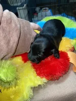 processed/dd9b10c1-6160-49c0-a426-5e4408593f1c/listing/63aa8a7e-aa39-4717-b36a-34bbbdd04903/4670a1c2-c344-4bcd-8d3d-cf71ee6ca54e