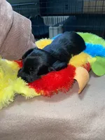 processed/dd9b10c1-6160-49c0-a426-5e4408593f1c/listing/63aa8a7e-aa39-4717-b36a-34bbbdd04903/551fd665-78d3-4920-86fa-300a4df1a1b1