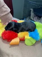 processed/dd9b10c1-6160-49c0-a426-5e4408593f1c/listing/63aa8a7e-aa39-4717-b36a-34bbbdd04903/59efedac-128e-4839-a23d-d52386a195e5