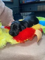 processed/dd9b10c1-6160-49c0-a426-5e4408593f1c/listing/63aa8a7e-aa39-4717-b36a-34bbbdd04903/685c5977-903f-40ad-811b-1ba2c1ef9f1a