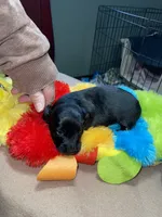 processed/dd9b10c1-6160-49c0-a426-5e4408593f1c/listing/63aa8a7e-aa39-4717-b36a-34bbbdd04903/b0409d42-0642-4ea6-915e-c47a86e9a176