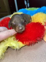 processed/dd9b10c1-6160-49c0-a426-5e4408593f1c/listing/66ab9314-5044-4d6a-a51c-8d4201aa6b8a/44b2a465-bb53-4290-b553-959255be2ef1