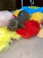 processed/dd9b10c1-6160-49c0-a426-5e4408593f1c/listing/66ab9314-5044-4d6a-a51c-8d4201aa6b8a/5bb44a07-6ae5-4009-a2ad-6c7f48748f6a