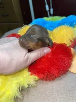 processed/dd9b10c1-6160-49c0-a426-5e4408593f1c/listing/66ab9314-5044-4d6a-a51c-8d4201aa6b8a/5c5457e4-7b58-4e76-8df5-41a598fde802