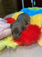 processed/dd9b10c1-6160-49c0-a426-5e4408593f1c/listing/66ab9314-5044-4d6a-a51c-8d4201aa6b8a/660769c3-060f-46aa-8ef8-5aaa27cb45b5