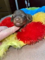 processed/dd9b10c1-6160-49c0-a426-5e4408593f1c/listing/66ab9314-5044-4d6a-a51c-8d4201aa6b8a/f5180a52-9b6d-4f5c-a03f-a18f93cbb714