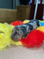 processed/dd9b10c1-6160-49c0-a426-5e4408593f1c/listing/f205eaf5-9ee6-47c0-944e-2c409132a376/1f71351b-abd2-4af0-9d92-e415904d72ef