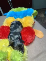 processed/dd9b10c1-6160-49c0-a426-5e4408593f1c/listing/f205eaf5-9ee6-47c0-944e-2c409132a376/7641f23b-7431-4723-89df-06298452d8c2