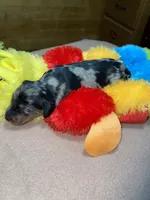 processed/dd9b10c1-6160-49c0-a426-5e4408593f1c/listing/f205eaf5-9ee6-47c0-944e-2c409132a376/a71850bf-80e2-479f-918c-27b30d6b26e1