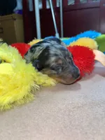 processed/dd9b10c1-6160-49c0-a426-5e4408593f1c/listing/f205eaf5-9ee6-47c0-944e-2c409132a376/acf3a3d8-6b64-42d8-bcd3-e07ad97a6970