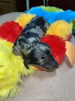 processed/dd9b10c1-6160-49c0-a426-5e4408593f1c/listing/f205eaf5-9ee6-47c0-944e-2c409132a376/cf0cb830-3cae-4951-81a2-a87134ec89b0