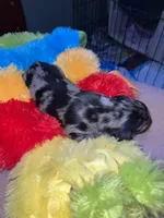 processed/dd9b10c1-6160-49c0-a426-5e4408593f1c/listing/f205eaf5-9ee6-47c0-944e-2c409132a376/fd2f7a8c-e50e-414e-be8c-71a5f1eaacf1