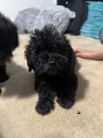 processed/dd9f7186-f0d4-4753-817e-6274d951c666/listing/34685d3f-6b32-4ea5-9583-12669f2f4acd/2800663f-0be2-4769-afdc-442fa0083219