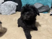 processed/dd9f7186-f0d4-4753-817e-6274d951c666/listing/34685d3f-6b32-4ea5-9583-12669f2f4acd/2d8d7de1-6562-4511-960c-7f0aa2398226