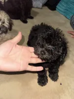 processed/dd9f7186-f0d4-4753-817e-6274d951c666/listing/34685d3f-6b32-4ea5-9583-12669f2f4acd/446f489d-254e-4a8a-8684-ddb1b6fb1782