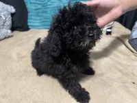 processed/dd9f7186-f0d4-4753-817e-6274d951c666/listing/34685d3f-6b32-4ea5-9583-12669f2f4acd/6219eefb-7125-4252-a2ea-ed607967cf88