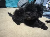 processed/dd9f7186-f0d4-4753-817e-6274d951c666/listing/34685d3f-6b32-4ea5-9583-12669f2f4acd/66110048-80f4-4170-a9e0-5c38056e42fd