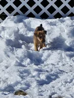 processed/dda73cde-61cd-4797-b22a-24782047e9ea/listing/0683c2bf-8da6-425f-b881-c9aa0b6e9a69/2fe90043-4e8c-45d1-9018-4b661411ccaa