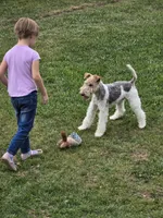 processed/dda73cde-61cd-4797-b22a-24782047e9ea/listing/0683c2bf-8da6-425f-b881-c9aa0b6e9a69/570d3b7d-0875-490f-b89e-27d44fbbf53c