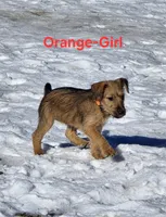 processed/dda73cde-61cd-4797-b22a-24782047e9ea/listing/0683c2bf-8da6-425f-b881-c9aa0b6e9a69/a14d39b9-e2bf-40bf-b664-8193bc3a173c