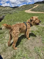 processed/dda73cde-61cd-4797-b22a-24782047e9ea/listing/0683c2bf-8da6-425f-b881-c9aa0b6e9a69/e7ea372b-2f8b-4c72-b476-5cbd6d68e86f