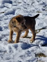 processed/dda73cde-61cd-4797-b22a-24782047e9ea/listing/9ef5b894-40e9-43ec-880c-70348875bdc4/2f32c989-4b71-4f45-aabb-9dcb1d20546a