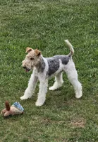 processed/dda73cde-61cd-4797-b22a-24782047e9ea/listing/9ef5b894-40e9-43ec-880c-70348875bdc4/47c6f188-9fcc-4900-b6e2-a5bd7b207ec1