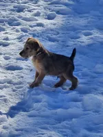 processed/dda73cde-61cd-4797-b22a-24782047e9ea/listing/9ef5b894-40e9-43ec-880c-70348875bdc4/48cbcee0-53a8-46bf-9df9-7cd468d5d4dc