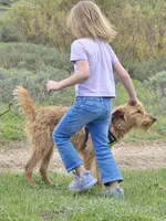 processed/dda73cde-61cd-4797-b22a-24782047e9ea/listing/9ef5b894-40e9-43ec-880c-70348875bdc4/9fdfe597-01a5-4fc7-9fe7-ef1797fe1a3d