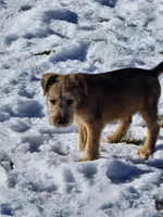 processed/dda73cde-61cd-4797-b22a-24782047e9ea/listing/9ef5b894-40e9-43ec-880c-70348875bdc4/b7b1faa4-2c0a-4560-a395-e5344778739c