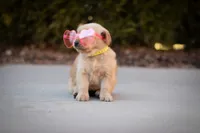 processed/ddb441b3-e1a4-47e9-b1b0-c421aee6b615/listing/892e6c13-3eac-4704-8044-f7cf4b8e6fa4/79b88097-e060-49e9-bca4-44bec4bf9fcf